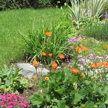 Διαμέρισμα Lubka *