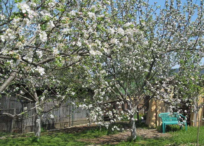 Appartement Lubka
